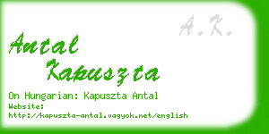 antal kapuszta business card